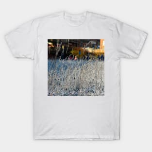 Frozen field in the outskirts of Glasgow T-Shirt